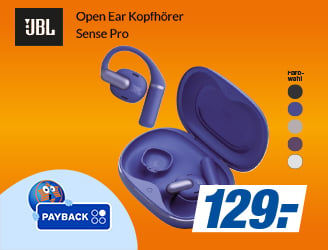 JBL Payback 1000 extra Punkte