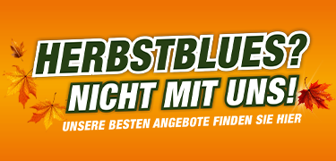 Aktuelle Angebote